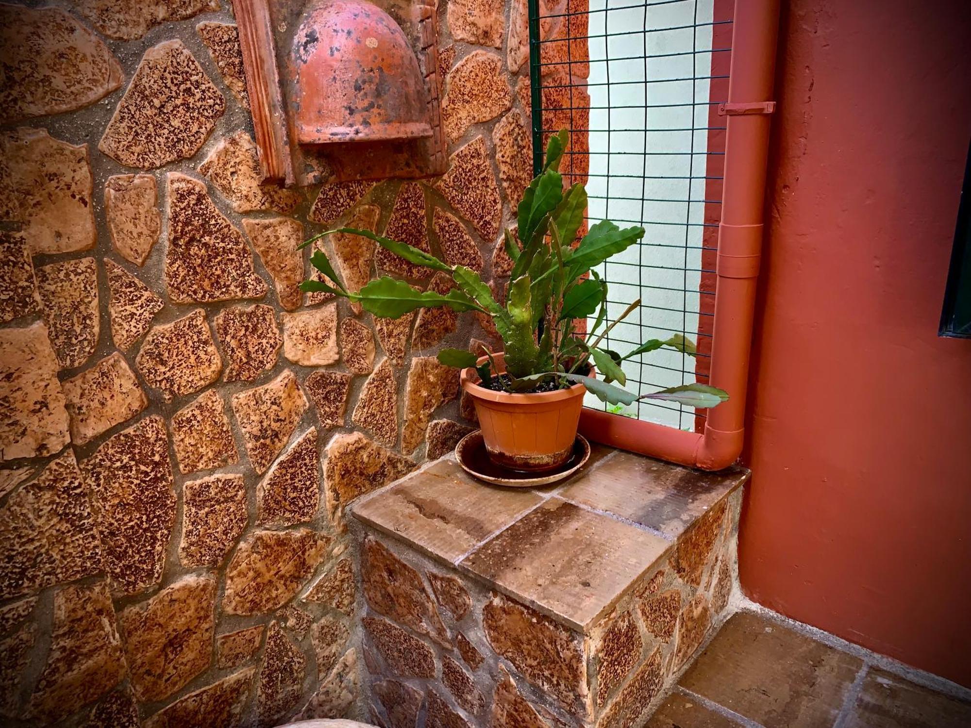 Luxurious Retreat In Argostoli. An Elegant Way Of Living! Apartment *